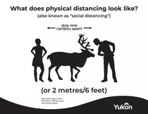 In Yukon social distancing means staying one caribou apart official gov poster