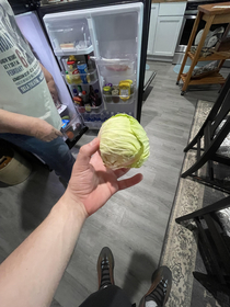 Inflation has hit my local farmers market tiny cabbage