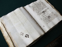Inky cat paws left on a th century manuscript