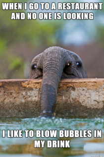 Inner Child Elephant