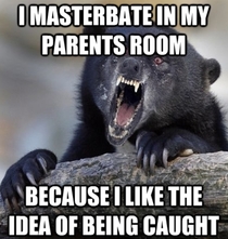 Insanity Confession Bear