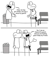 Insecurity guard
