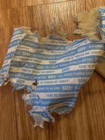 Inside of the dog toy once its destroyed