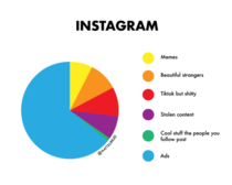 Instagram pie chart