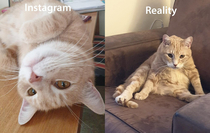 Instagram vs reality