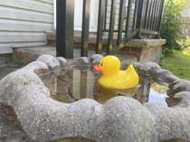 Installed a duck pond in our back garden to appeal to potential buyers