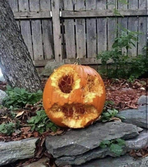Instead of carving the jack-o-lantern myself this year I poked a bunch of small holes in a pumpkin and stuffed the holes with peanut butter I then let the squirrels go at it for two days The result is something truly disturbing