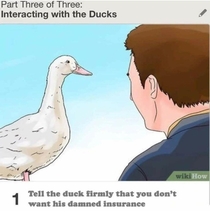 Interacting with ducks Rule 