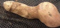 Interesting shaped potato It is