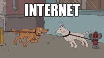 Internet vs Reality