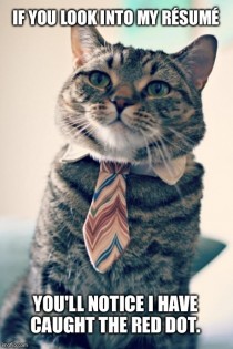 Internship cat application