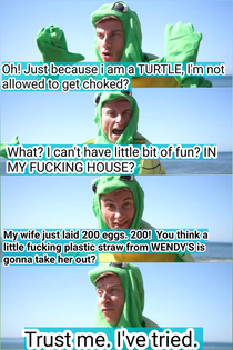 Interviewing a Turtle in 