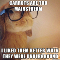 Introducing the Hipster Bunny