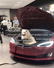 Introducing the new Tesla Model Dog