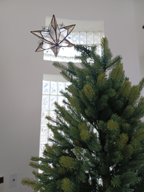 Introspective Christmas tree reflecting on 