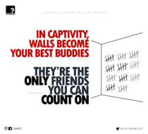 Irony Prison Walls Are Friends