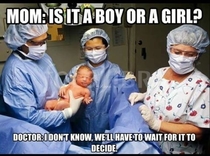 Is it a boy or a girl