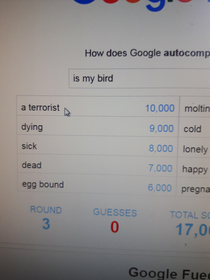 Is my bird a terrorist