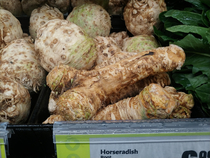 Is that a Horseradish in your pocket or are you just happy to see me