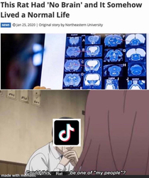 Is this comedy