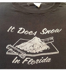 It does snow in Florida Vintage t-shirt I saw for sale online