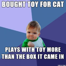 It is small things that make cat owners happy