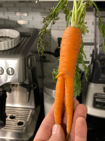 It might be small but i dont carrot all
