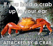 It sounds like crabp