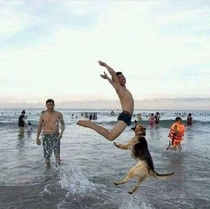 It was at that moment Dave realized that teaching his dog to catch frankfurters was a bad idea