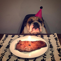 It was my doggos th birthday