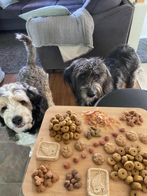 Its a barkcuterie board kind of day