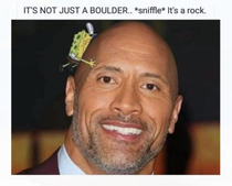 Its a rock