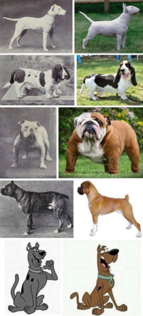 Its a shame what selective breeding has done over the years