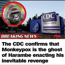 Its all dicks out for Harambe until the genital sores start showing up