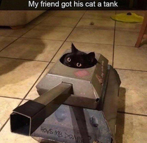 Its bad luck for a black cat to cross your path with a tank