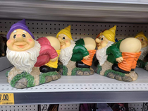 Its gardening season Gnome centipede 