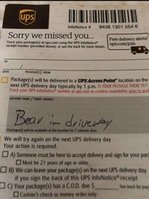 Its getting hairy out there for UPS drivers