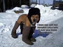Its gonna be a long winter