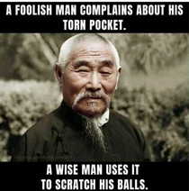 Its good to be wise