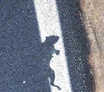Its not a shadow
