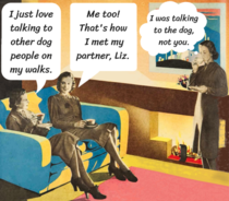 Its not you its dog