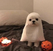 its October time to get spky