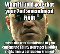 Its terrifying how many Americans do not seem to remember why we have the right to bear arms and why it is so important not to lose it