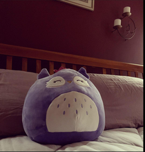 Ive been in the middle of a divorce for some time and my daughters told me that I needed a Squishmallow in my life They gave me this one for my birthday I think they were right it takes up very little room and always leaves the seat down