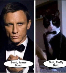 Ive decided on my new nickname and it isnt James Bond