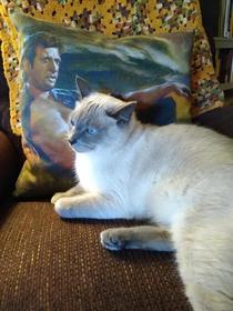 Jeff Goldblum seduced my cat