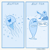 Jellyfish Jellyfish