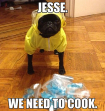 Jesse we need to cook
