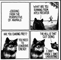 Jogging from perspective of animals