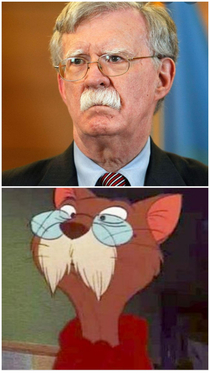 John Bolton looks like the cat from the Rescuers